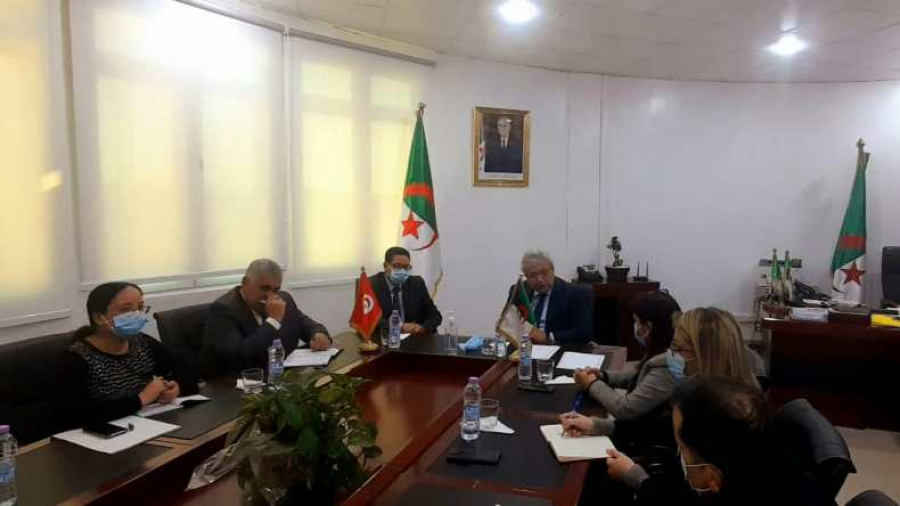 اتفاق تونسي جزائري لإنتاج الأدوية وتصديرها