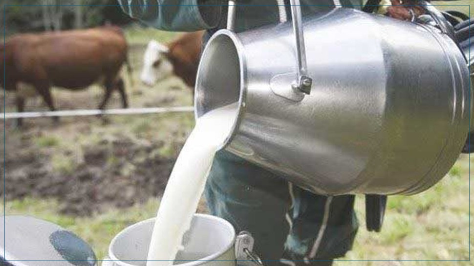 رئيس وحدة الإنتاج الفلاحي: سعر لتر الحليب قد يصل إلى 3 دنانير..!