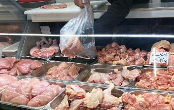 CREATOR: gd-jpeg v1.0 (using IJG JPEG v80), quality = 82