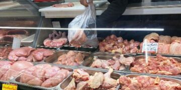 CREATOR: gd-jpeg v1.0 (using IJG JPEG v80), quality = 82